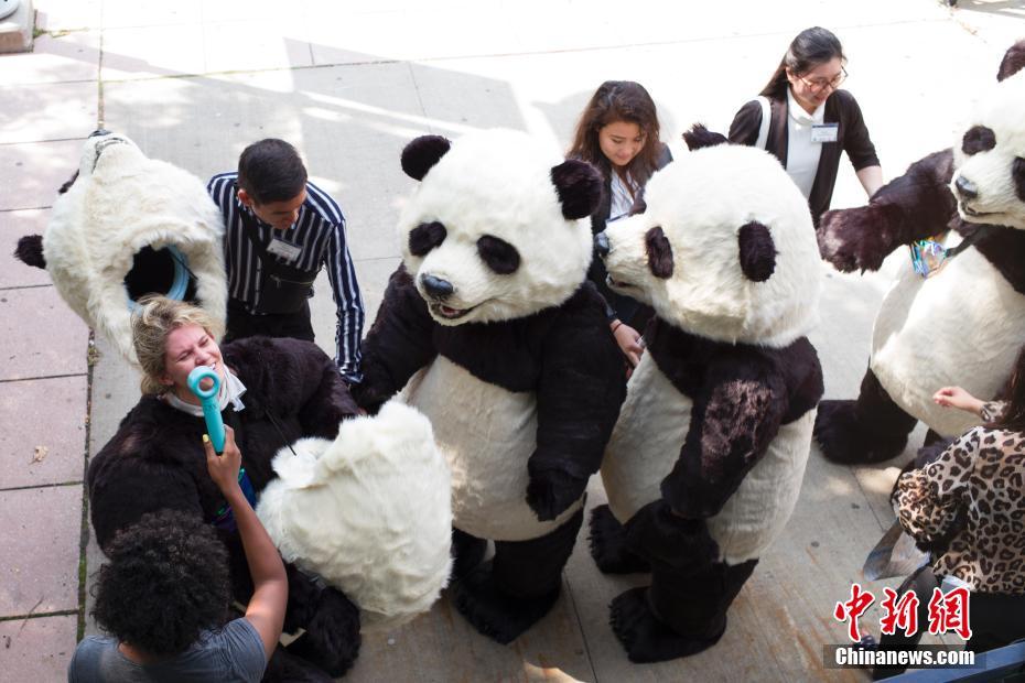 NYシティ?フィールドにパンダの著ぐるみ登場