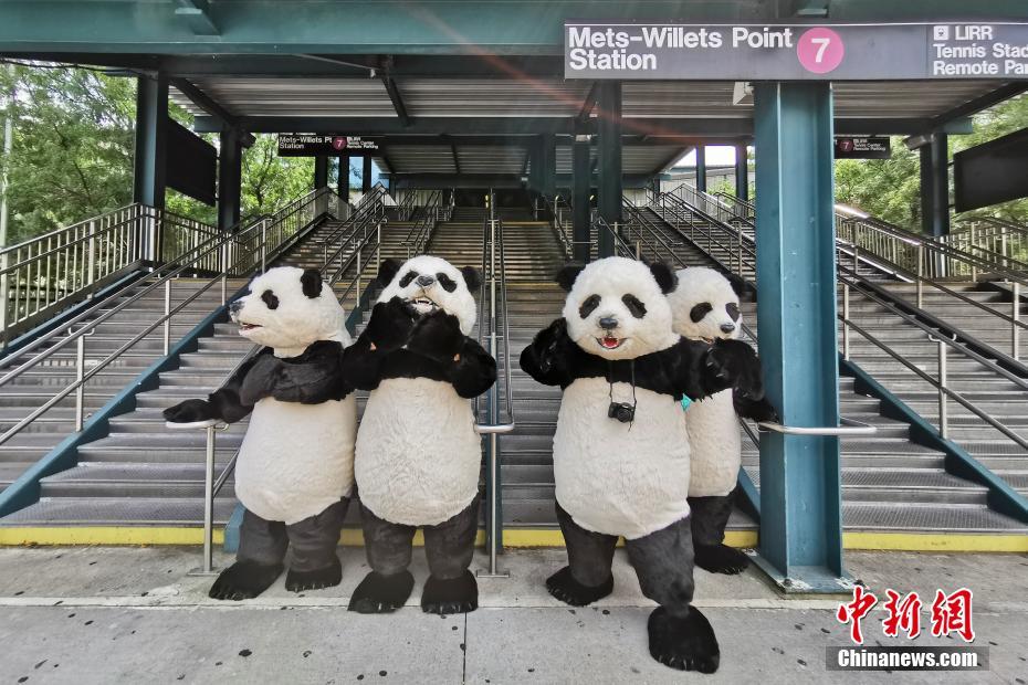 NYシティ?フィールドにパンダの著ぐるみ登場