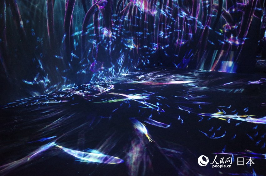 マングローブから始まる生命の育み　チームラボIN北京世界園蕓博覧會