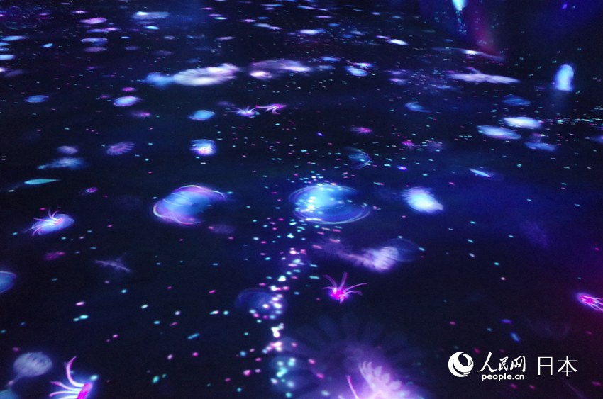 マングローブから始まる生命の育み　チームラボIN北京世界園蕓博覧會(huì)