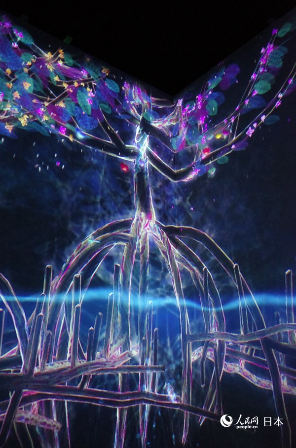 マングローブから始まる生命の育み　チームラボIN北京世界園蕓博覧會