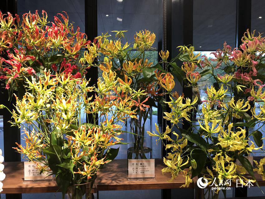 限られた時(shí)間で競(jìng)う「花いけバトル」が熱い！世園會(huì)のジャパンデー