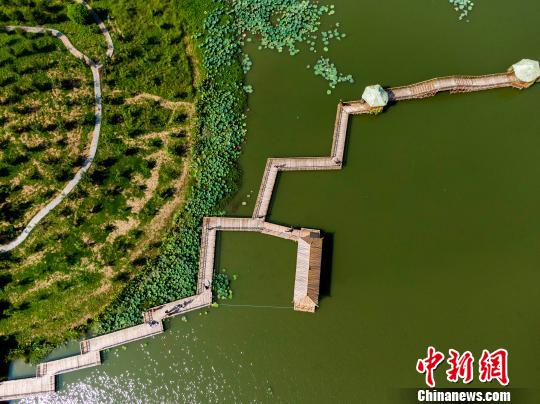 緑溢れる森の川を進(jìn)み絶景を楽しめる江蘇省泰州市の水上森林公園