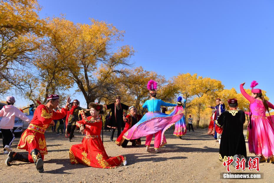 金色に輝くコトカケヤナギの林　観光シーズン迎えた新疆カラマイ?ウルホ