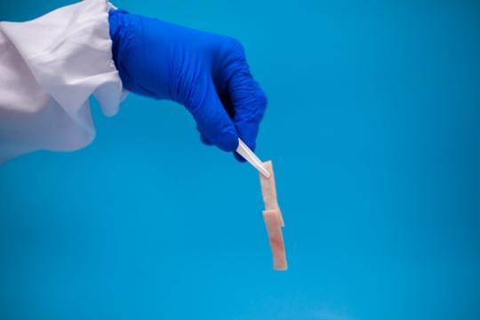 寫真はバイオナノのりを豚の皮の接著に用いる様子。（撮影?劉新科）