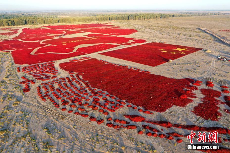 ゴビ砂漠に唐辛子で描いた3萬平方メートルの巨大な中國地図　甘粛省