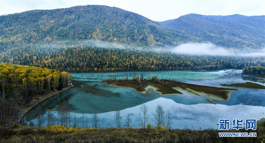 秋に美しく色づくカナス景勝地　新疆