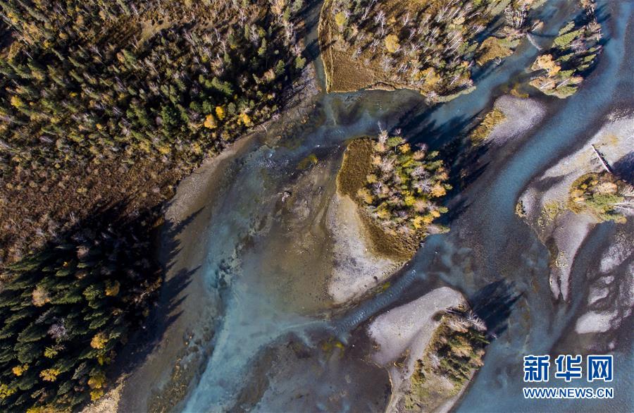 秋に美しく色づくカナス景勝地　新疆