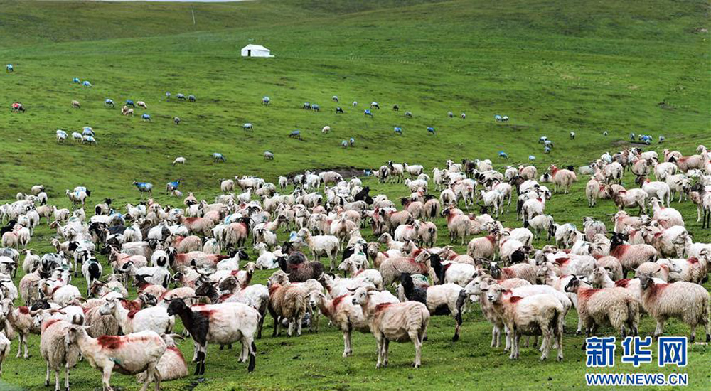 美しい中國の雄大な自然の風(fēng)景をピックアップ！