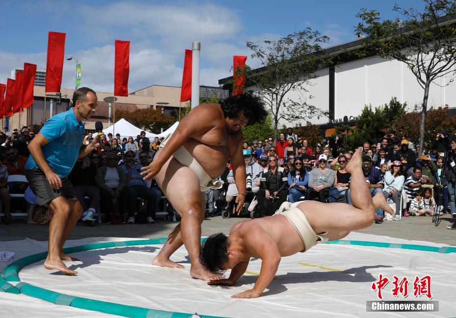 日本相撲チャンピオン展が米サンフランシスコで開催