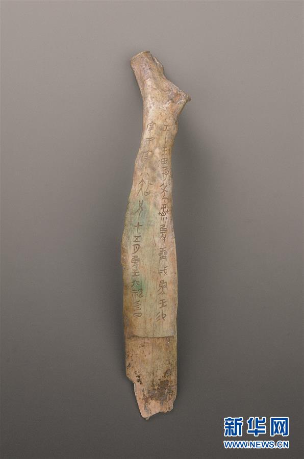 國家博物館が22日から初の大規(guī)模な館蔵甲骨展　北京