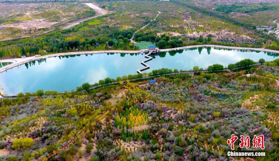 砂漠からオアシスに変貌遂げた寧夏の國家級自然保護區(qū)