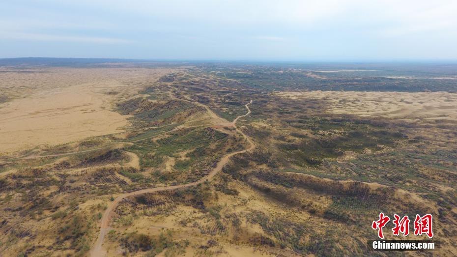砂漠からオアシスに変貌遂げた寧夏の國(guó)家級(jí)自然保護(hù)區(qū)