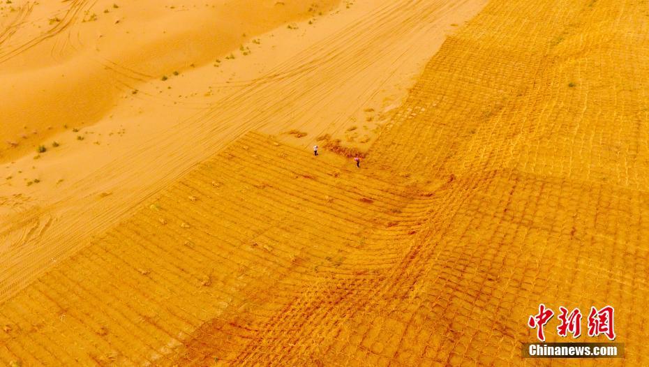 砂漠からオアシスに変貌遂げた寧夏の國家級自然保護區(qū)