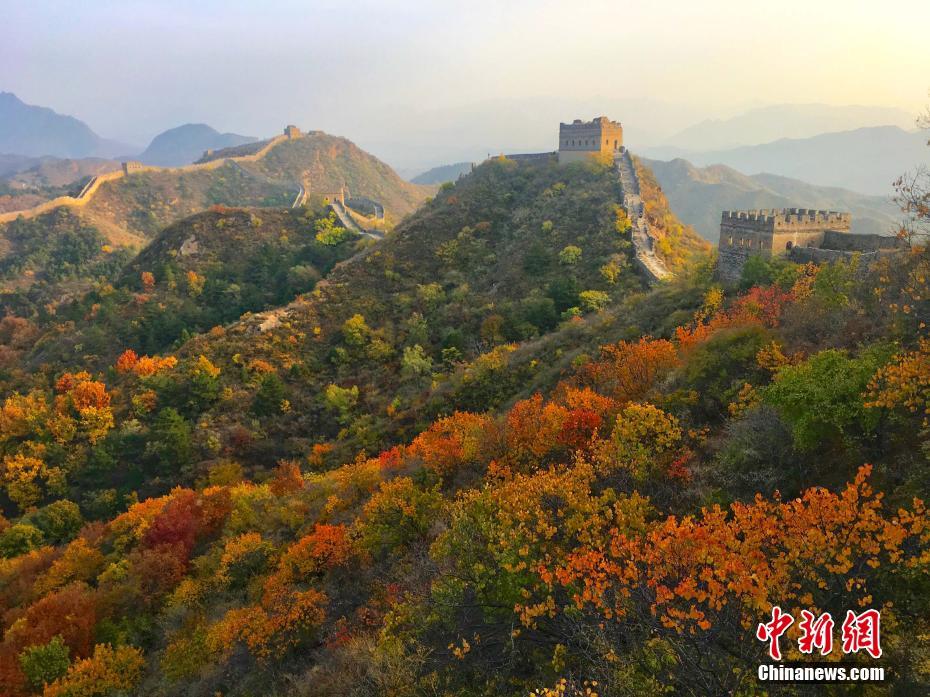 秋の金山嶺長(zhǎng)城に広がる一面の綾錦　北京