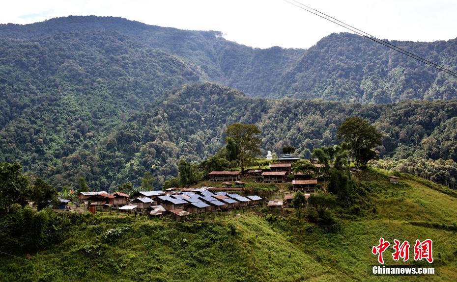 チベットで初めてスソビキアゲハを確認、高原の蝶に「新メンバー」