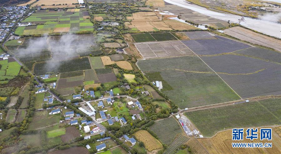 四川と西蔵が共同で進める西蔵におけるリンゴの標(biāo)準(zhǔn)化栽培