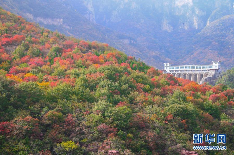 美しく色づく秋の雲(yún)臺山　河南省