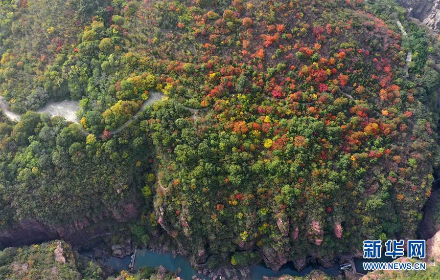 美しく色づく秋の雲(yún)臺山　河南省