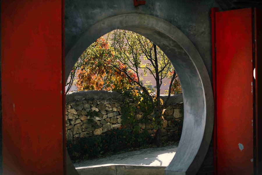 北京の紅葉の名所?百望山森林公園が見(jiàn)ごろに