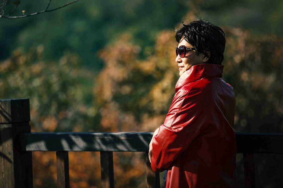 北京の紅葉の名所?百望山森林公園が見ごろに