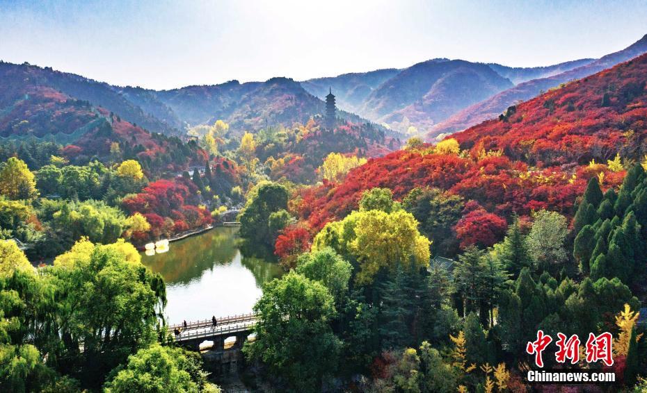 秋深まり紅葉の見ごろを迎えている済南市 (撮影?宋広興) 。