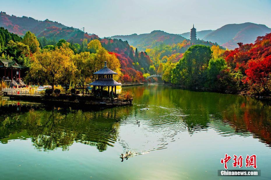 紅葉の見(jiàn)ごろを迎えた山東省済南市