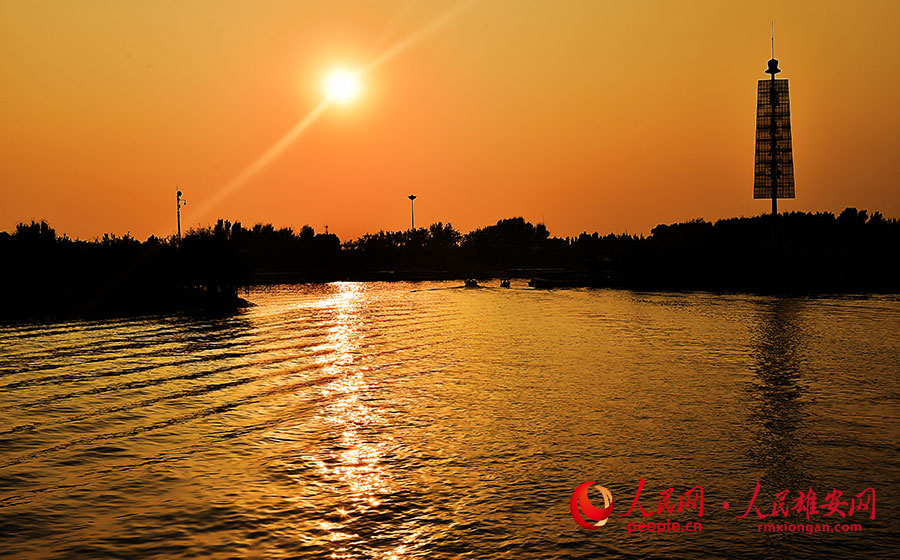 秋の白洋淀（撮影?劉向陽）。