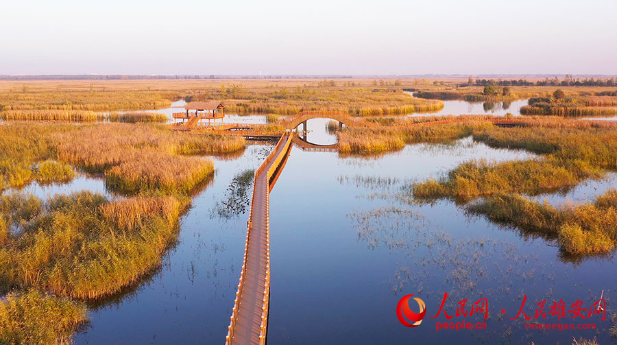 雄安新區(qū)の秋景色　河北省