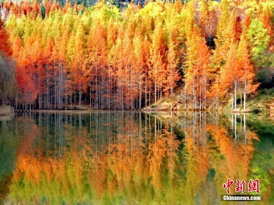 甘粛両當(dāng)の秋景色（撮影?冉創(chuàng)昌）。 