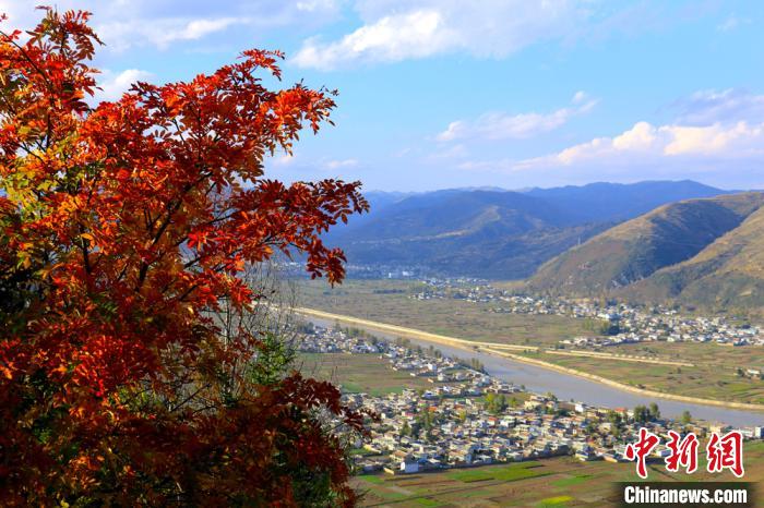 秋深まり色づく農(nóng)村の田園風(fēng)景　甘粛省