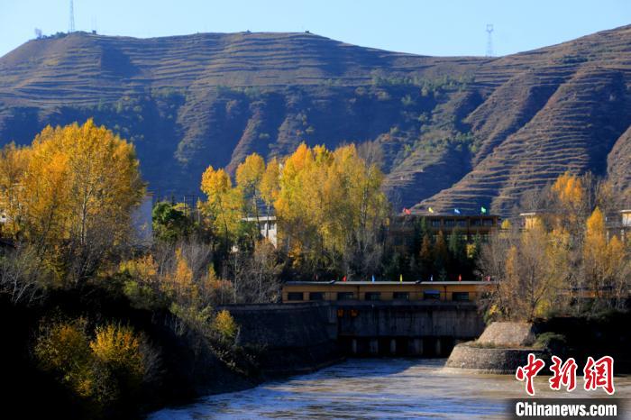 秋深まり色づく農(nóng)村の田園風(fēng)景　甘粛省