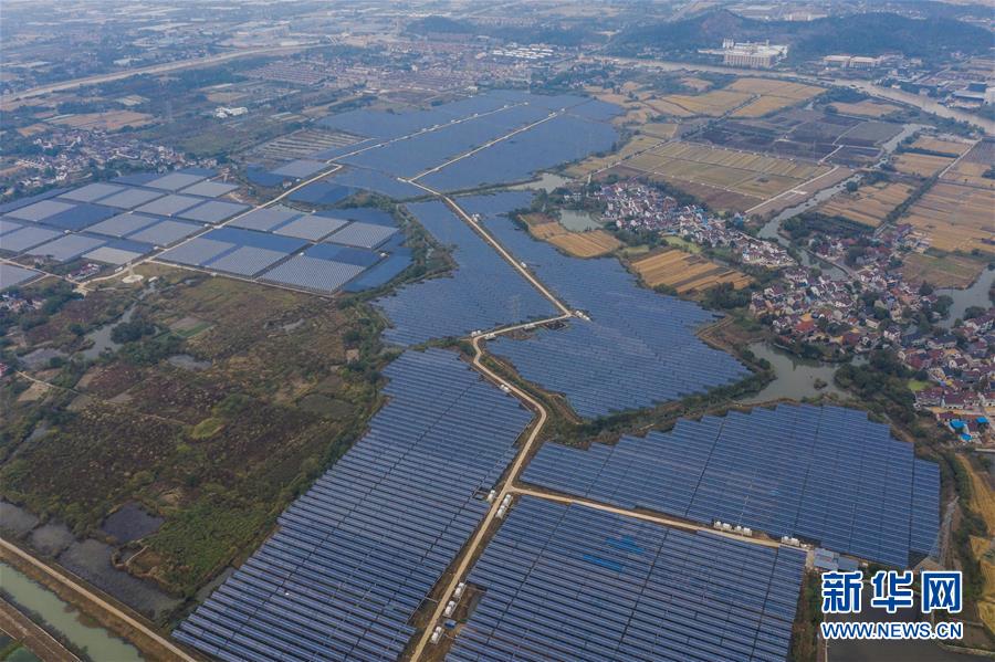 浙江省長興県、漁?農業(yè)と太陽光発電の相互補完で農村の振興促進