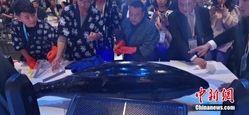 活気あふれるマグロの解體ショー（撮影?芊燁）。 