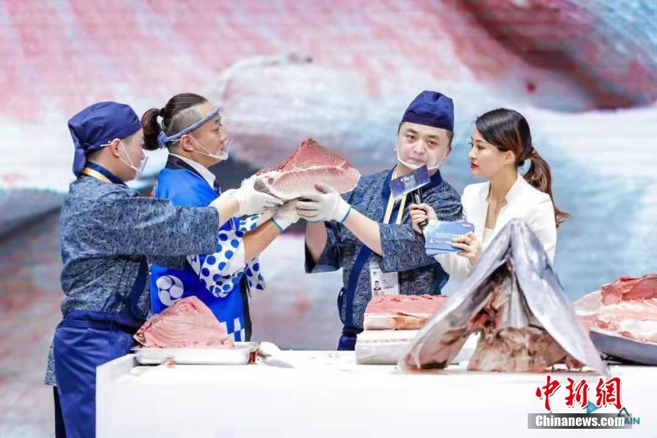 中國國際輸入博覧會で250キロの本マグロが注目集める