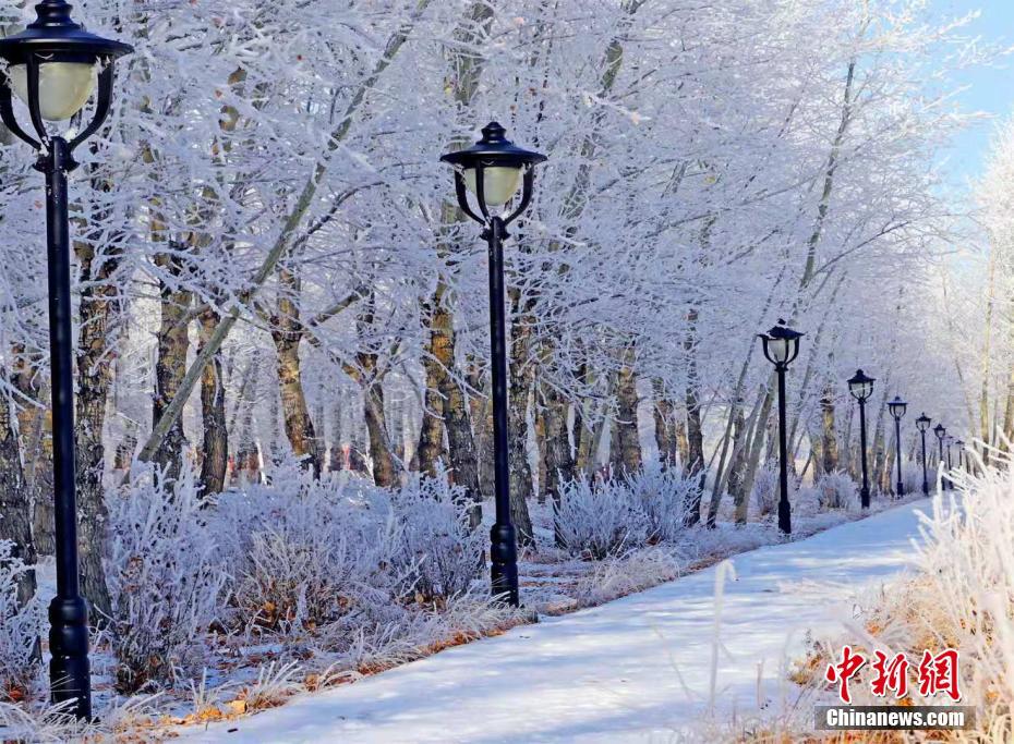 フルンボイル?アルグン市內(nèi)に突如「霧氷」が出現(xiàn)　內(nèi)モンゴル