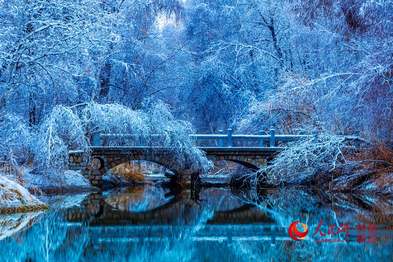 冬の雪景色を楽しむならアルタイへ！　新疆