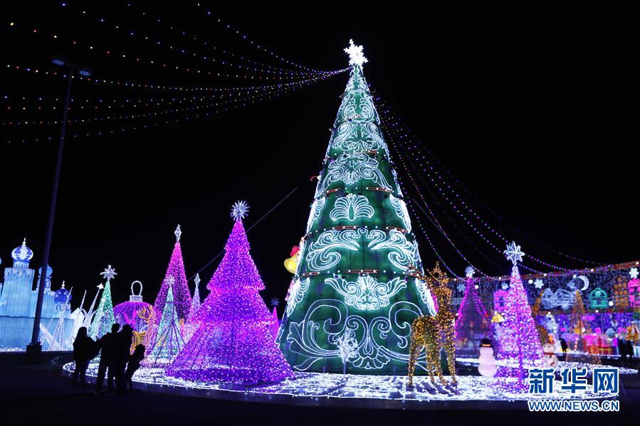 15日、米國(guó)ヒューストンでランタンを鑑賞する市民（撮影?宋穹）。