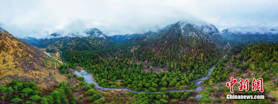 四川王朗國家級自然保護(hù)區(qū)の原始林を訪ねて