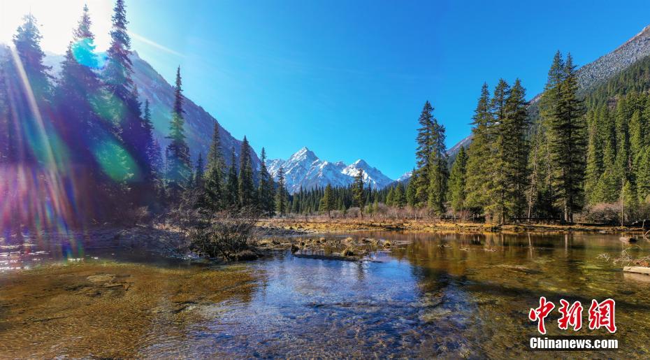 四川王朗國家級自然保護(hù)區(qū)の原始林を訪ねて