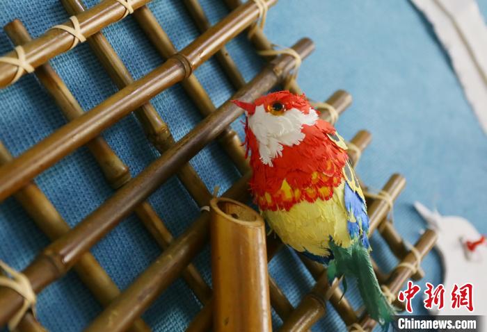 立體的な美しさ！蘭州の小學(xué)生のペーパークラフト作品に驚きの聲