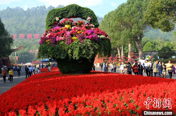 11月18日、福建省漳州市の東南花都花博園で開(kāi)幕した第11回海峽両岸現(xiàn)代農(nóng)業(yè)博覧會(huì)?第21回海峽両岸花卉博覧會(huì)（撮影?張斌）。