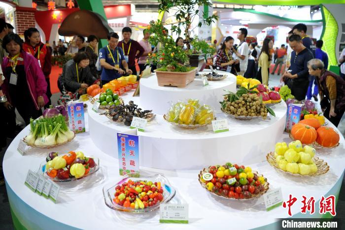 海峽両岸の第11回農(nóng)業(yè)博?第21回花博が開(kāi)幕　福建省漳州市