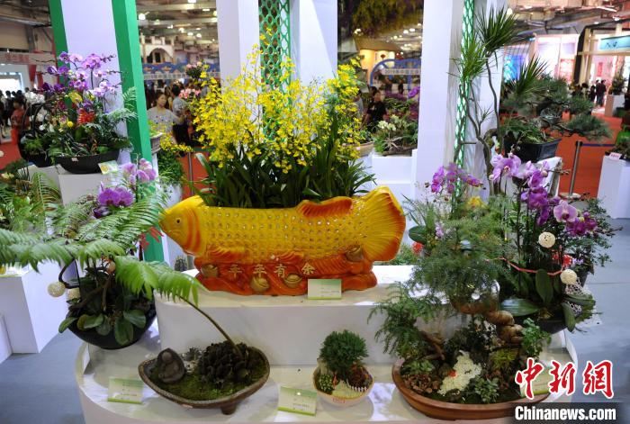 海峽両岸の第11回農(nóng)業(yè)博?第21回花博が開(kāi)幕　福建省漳州市