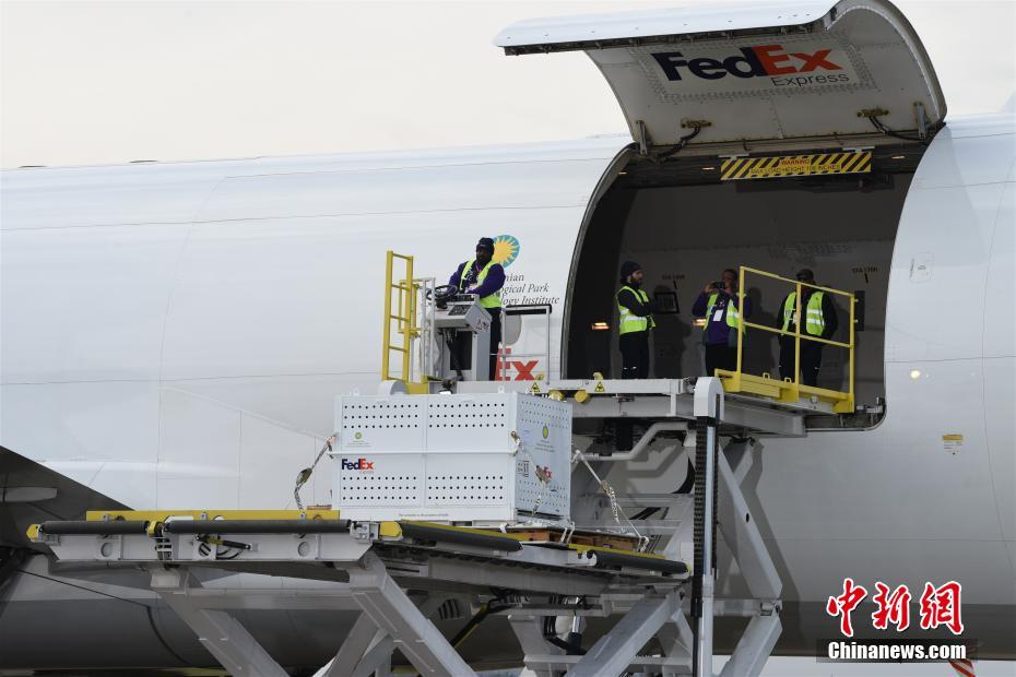 米國(guó)生まれのパンダ「貝貝」が中國(guó)へ