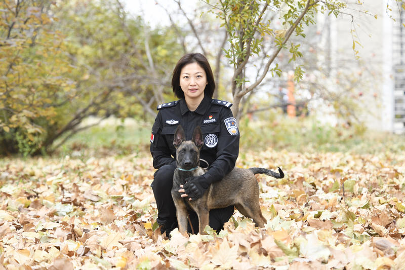 クローン警察犬チーム第1陣が正式に入隊(duì)　北京市