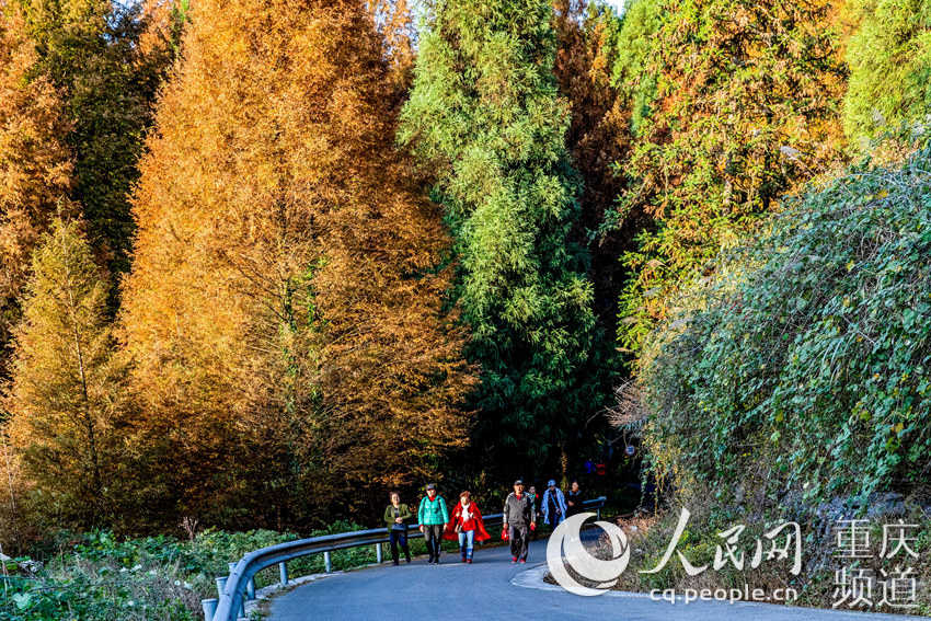 重慶南川で観光客を迎える石漠の「花」