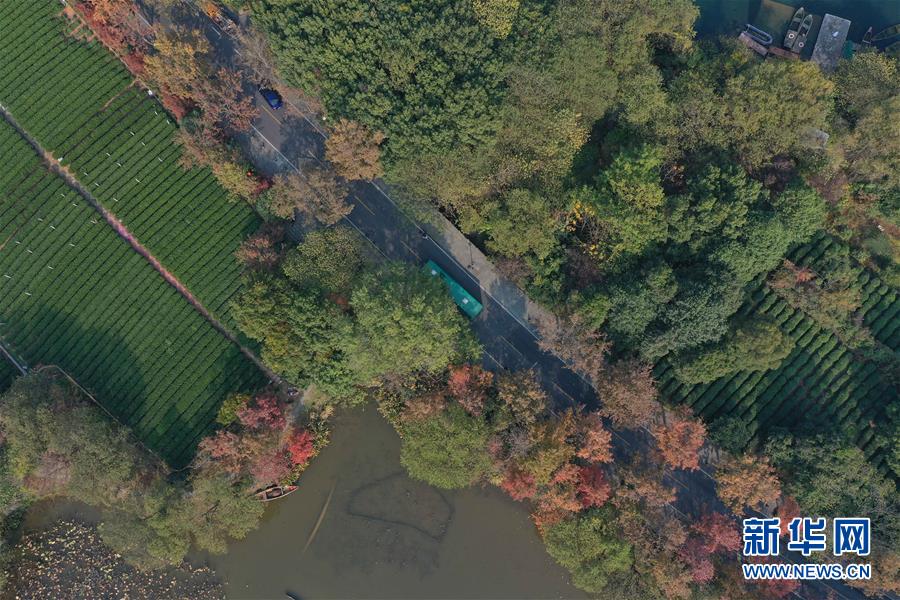 杭州市の路線バス、ゼロ?エミッションを実現(xiàn)