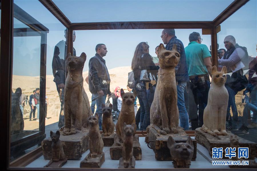 エジプト?サッカラで約2700年前の動(dòng)物のミイラ発見(jiàn)