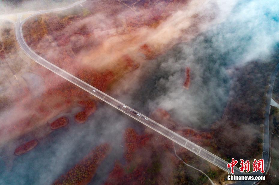 霧と紅葉の「競(jìng)演」で絶景広がる江蘇省天泉湖景勝地